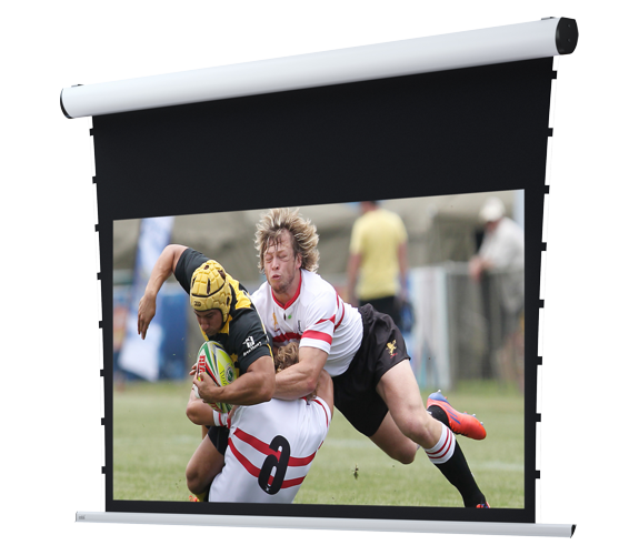 ekran projekcyjny adeo rugby